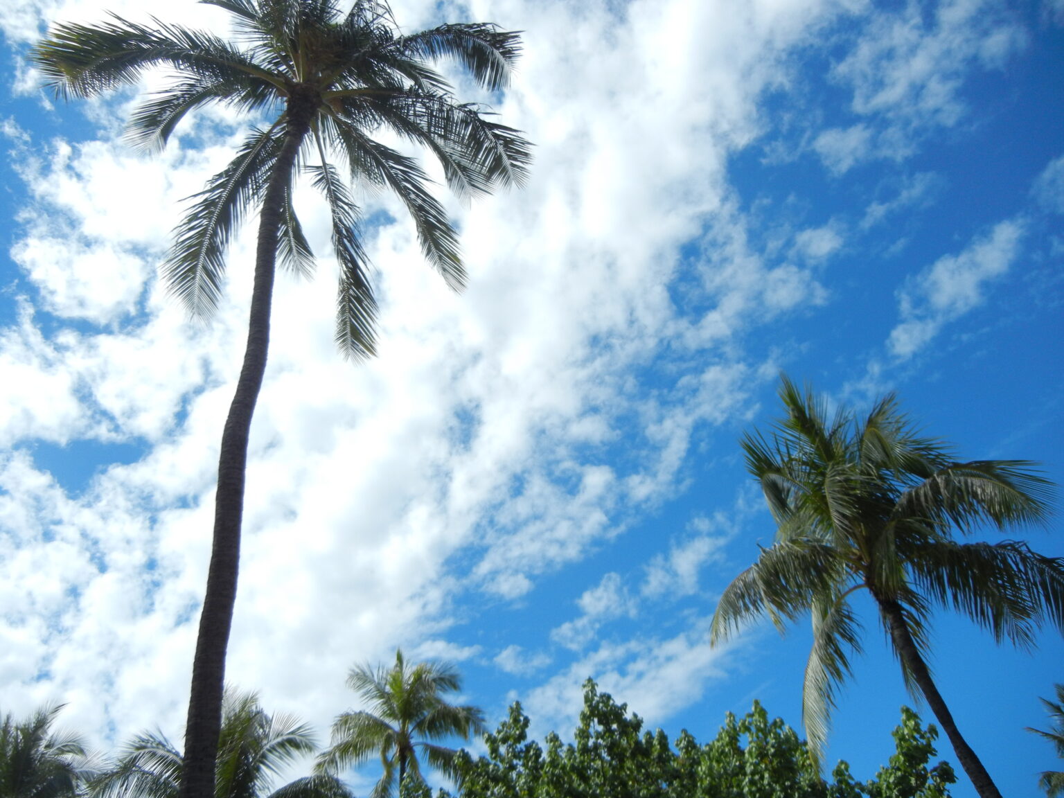 ハワイの青空